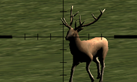 Deer Hunter