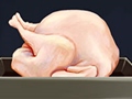 Kochsimulator Truthahn