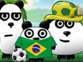 3 Pandas in Brasilien