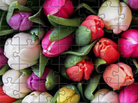 Jigsaw Puzzle 2